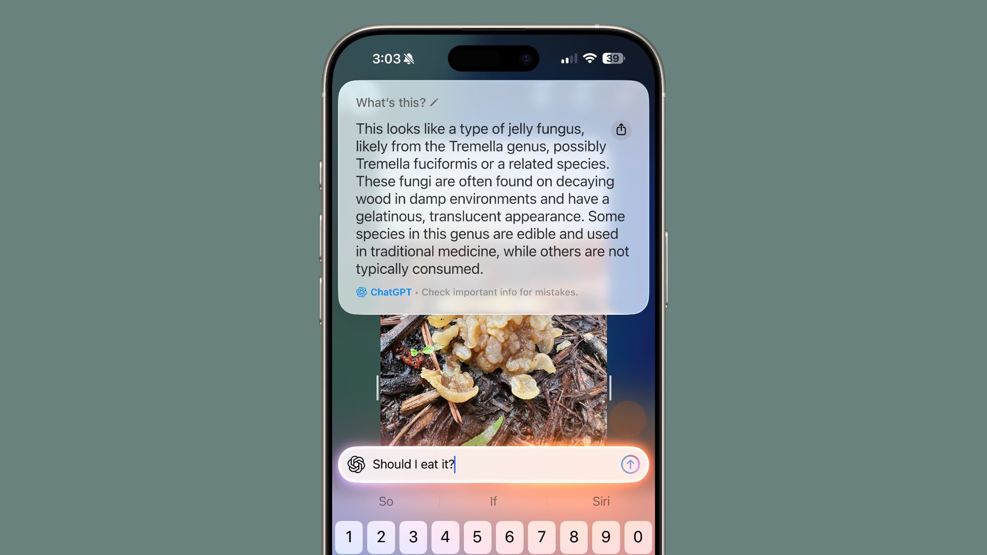 Visual Intelligence με ερώτηση στο iOS